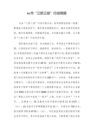 xx市“三抓三促”行动简报..docx