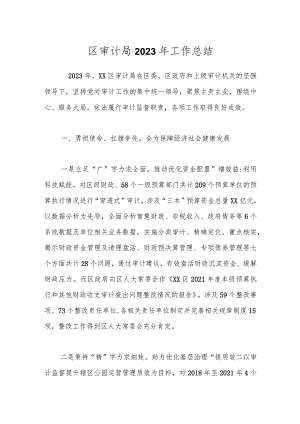 区审计局2023年工作总结.docx