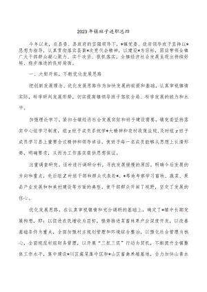 2023年镇班子述职总结.docx