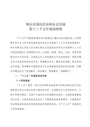 肇东市国民经济和社会发展第十三个五年规划纲要.docx