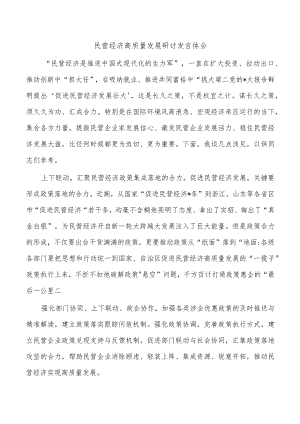 民营经济高质量发展研讨发言体会.docx