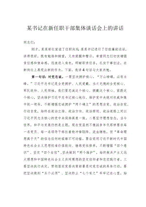 某书记在新任职干部集体谈话会上的讲话.docx