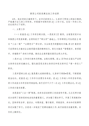 商贸公司抓党建总结工作述职.docx
