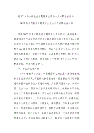 二篇2023年主题教育专题民主生活会个人对照检查材料.docx