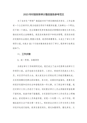 2023年村级财务审计整改报告参考范文.docx