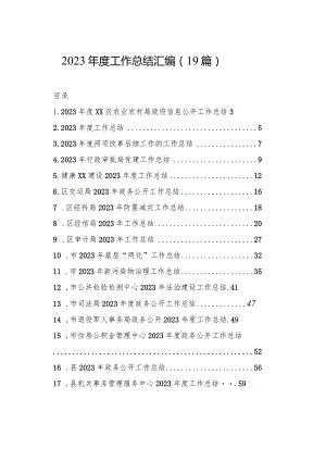 2023年度工作总结汇编（19篇）.docx