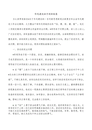 作风建设班子剖析检查.docx