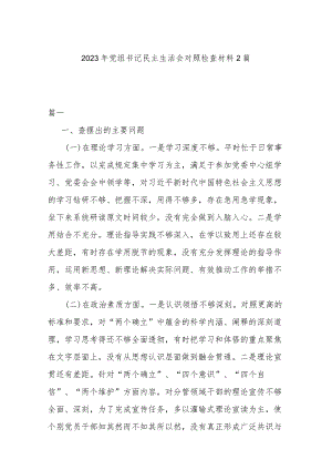 2023年党组书记民主生活会对照检查材料2篇.docx