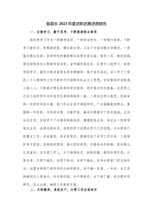 副县长2023年度述职述廉述德报告.docx