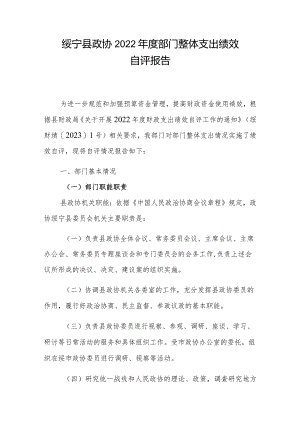 绥宁县政协2022年度部门整体支出绩效自评报告.docx