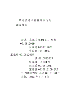 三亚亲海旅游消费者购买行为调查报告.docx