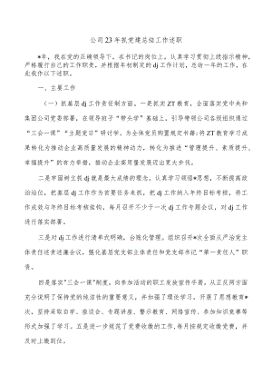 公司23年抓党建总结工作述职.docx