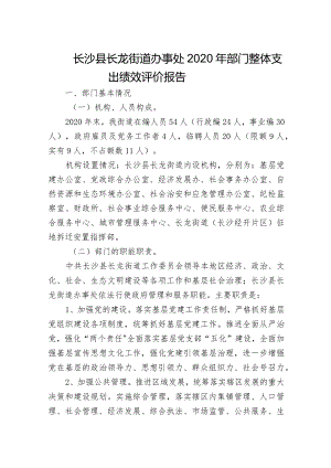 长沙县长龙街道办事处2020年部门整体支出绩效评价报告.docx