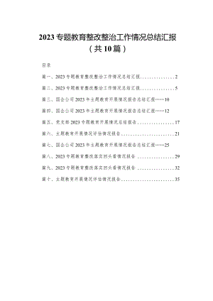 专题教育整改整治工作情况总结汇报精选（参考范文10篇）.docx