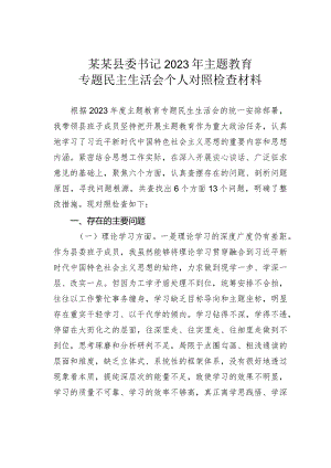某某县委书记2023年主题教育专题民主生活会个人对照检查材料.docx