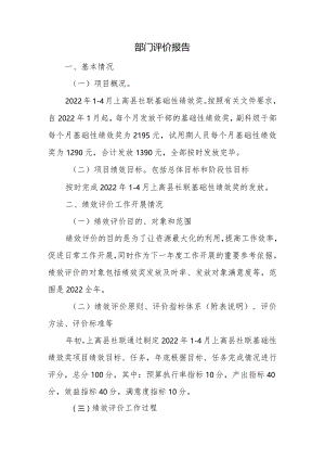 部门评价报告.docx