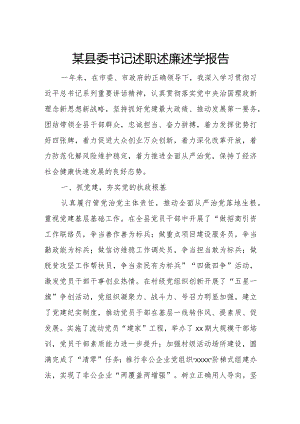 某县委书记述职述廉述学报告.docx