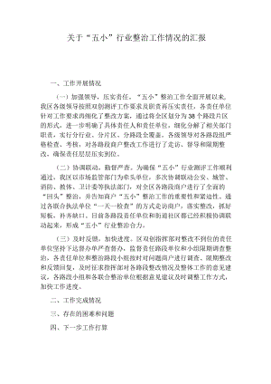 关于“五小”行业整治工作情况的汇报.docx