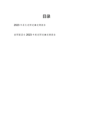 2023年度县长副县长个人述职述廉述德报告.docx
