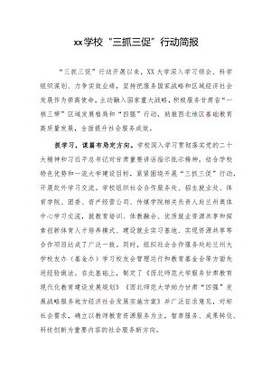 xx学校“三抓三促”行动简报.docx