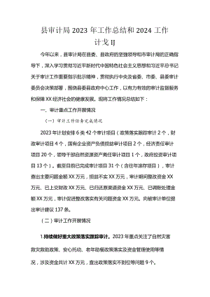 县审计局2023年工作总结和2024工作计划.docx