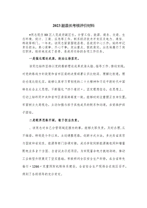 2023副县长考核评价材料.docx