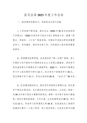 县司法局2023年度工作总结.docx