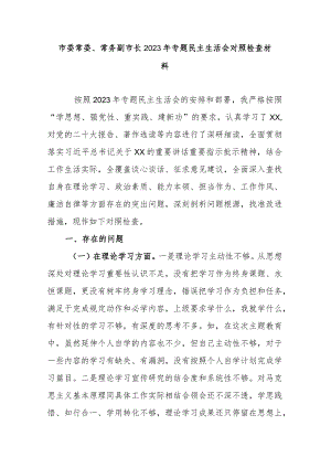 市委常委、常务副市长2023年专题民主生活会对照检查材料.docx