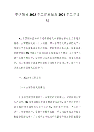 市供销社2023年工作总结及2024年工作计划.docx
