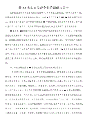 赴多家民营企业的调研与思考.docx