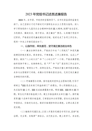 2023年党组书记述责述廉报告.docx