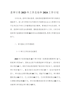 县审计局2023年工作总结和2024工作计划.docx