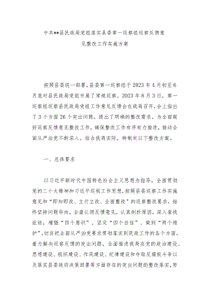 县民政局党组落实县委第一巡察组巡察反馈意见整改工作实施方案.docx