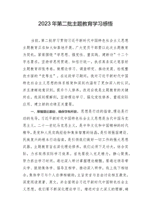 2023年第二批主题教育学习感悟.docx