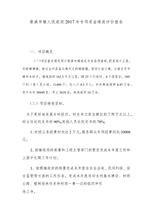 紫溪市镇人民政府2017年专项资金绩效评价报告.docx