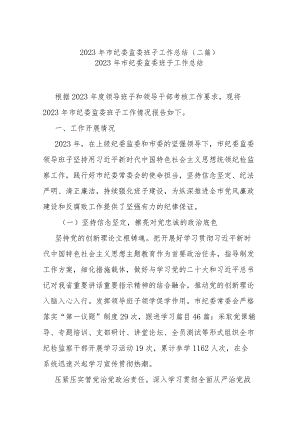 2023年市纪委监委班子工作总结(二篇).docx