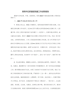某局书记抓基层党建工作述职报告.docx