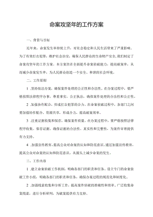 命案攻坚年的工作方案.docx