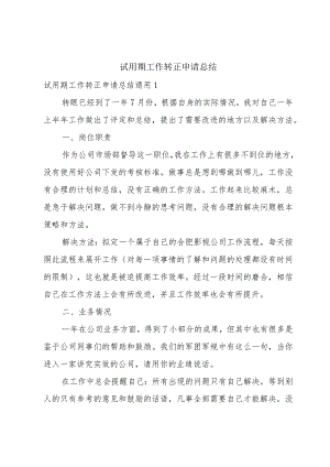 试用期工作转正申请总结.docx