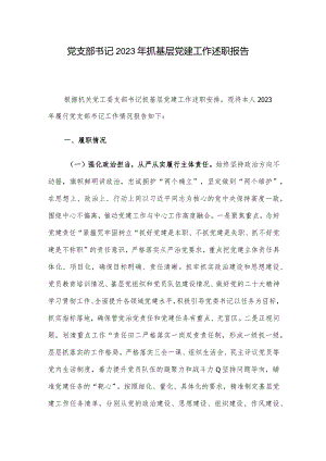 党支部书记2023年抓基层党建工作述职报告.docx