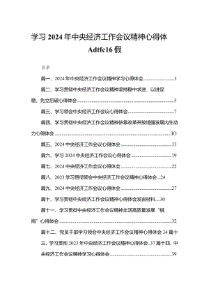 学习2024年中央经济工作会议精神心得体会共15篇.docx