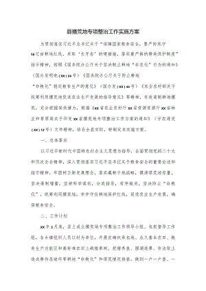 县撂荒地专项整治工作实施方案.docx