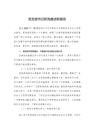 党支部书记抓党建述职报告.docx