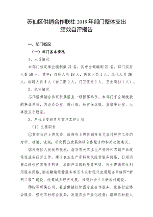 苏仙区供销合作联社2019年部门整体支出绩效自评报告.docx