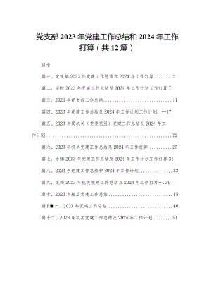 党支部2023年党建工作总结和2024年工作打算12篇供参考.docx