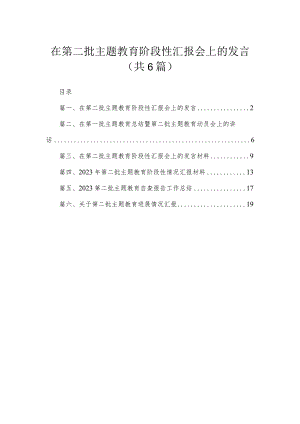 在第二批专题阶段性汇报会上的发言范文精选(6篇).docx