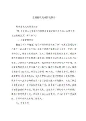 巡察整改完成情况报告.docx