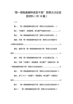 “想一想我是哪种类型干部”思想大讨论发言材料【16篇精选】供参考.docx