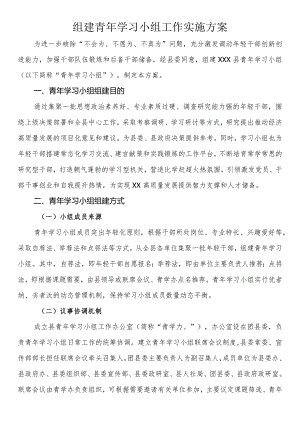 组建青年学习小组工作实施方案.docx