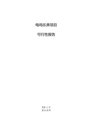 电鸣乐器项目可行性报告.docx